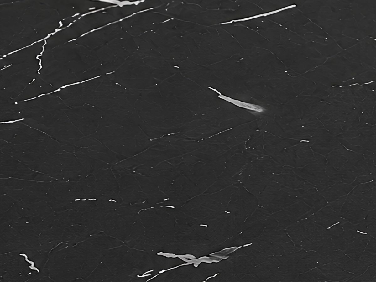 angele-noire-plateau